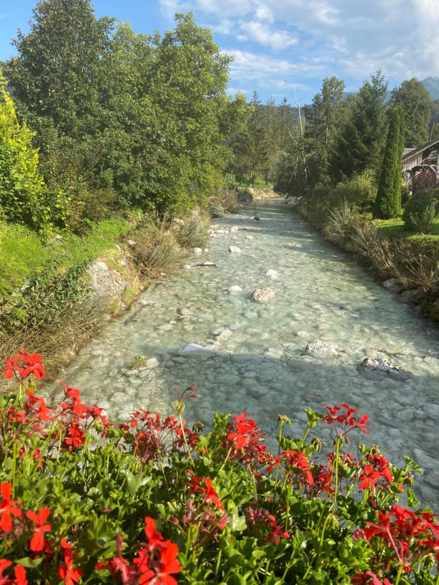 Apartment Mountain View In Triglav National Park