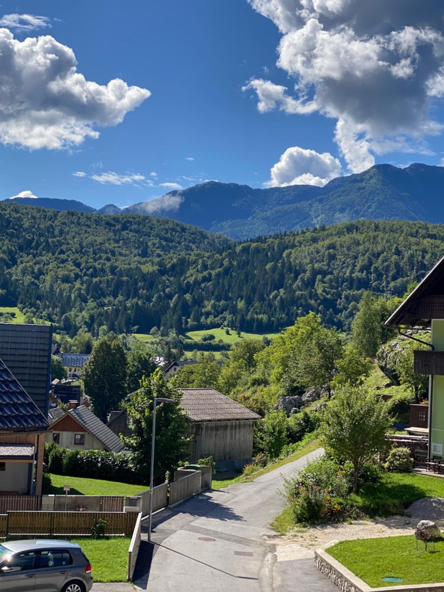 Mountain View In Triglav National Park * Bohinj